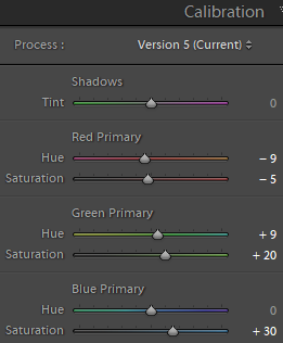 Camera Calibration in Lightroom