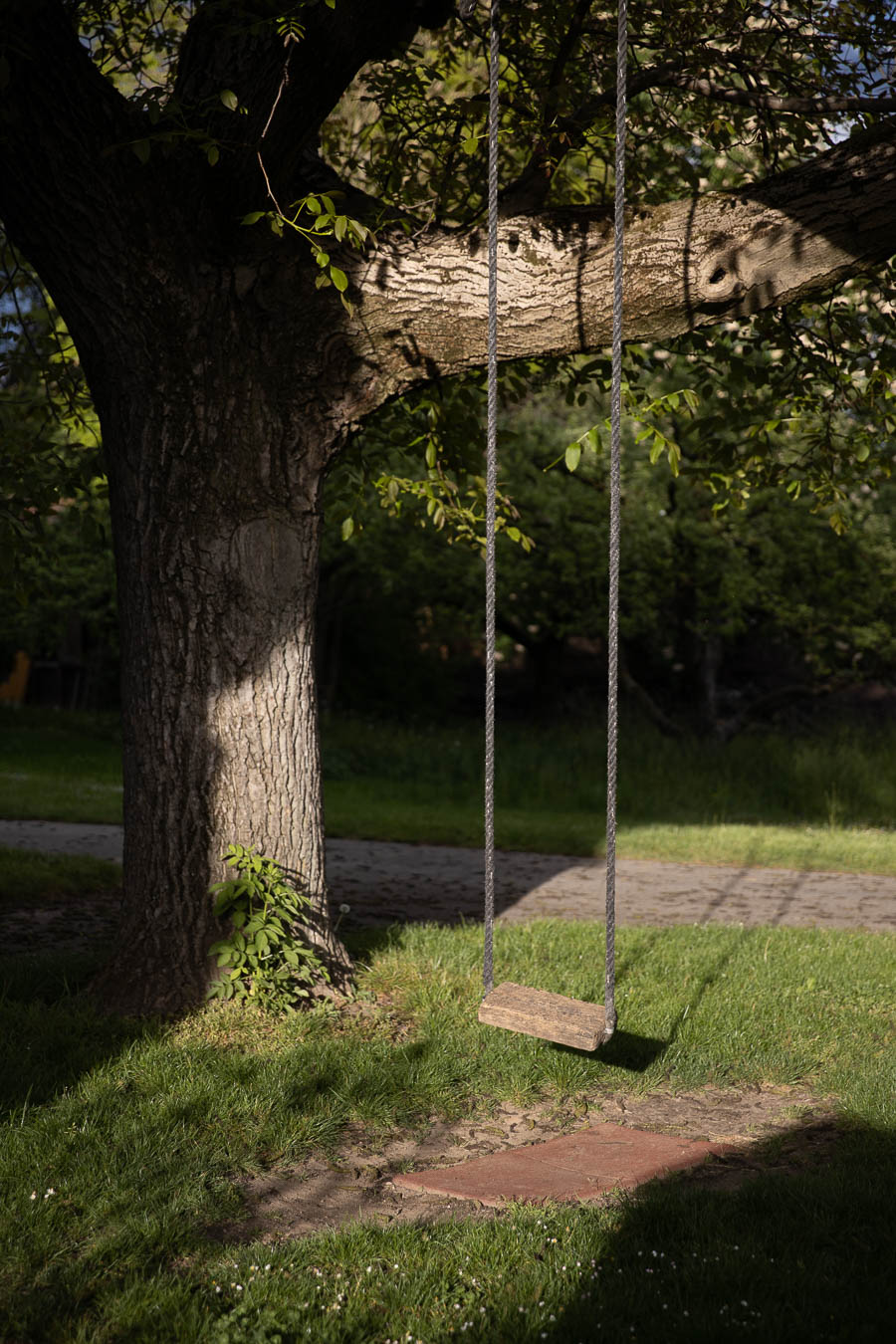 Unedited Raw File: beautifully lit swing hanging from a tree at Paradieshof in Binningen