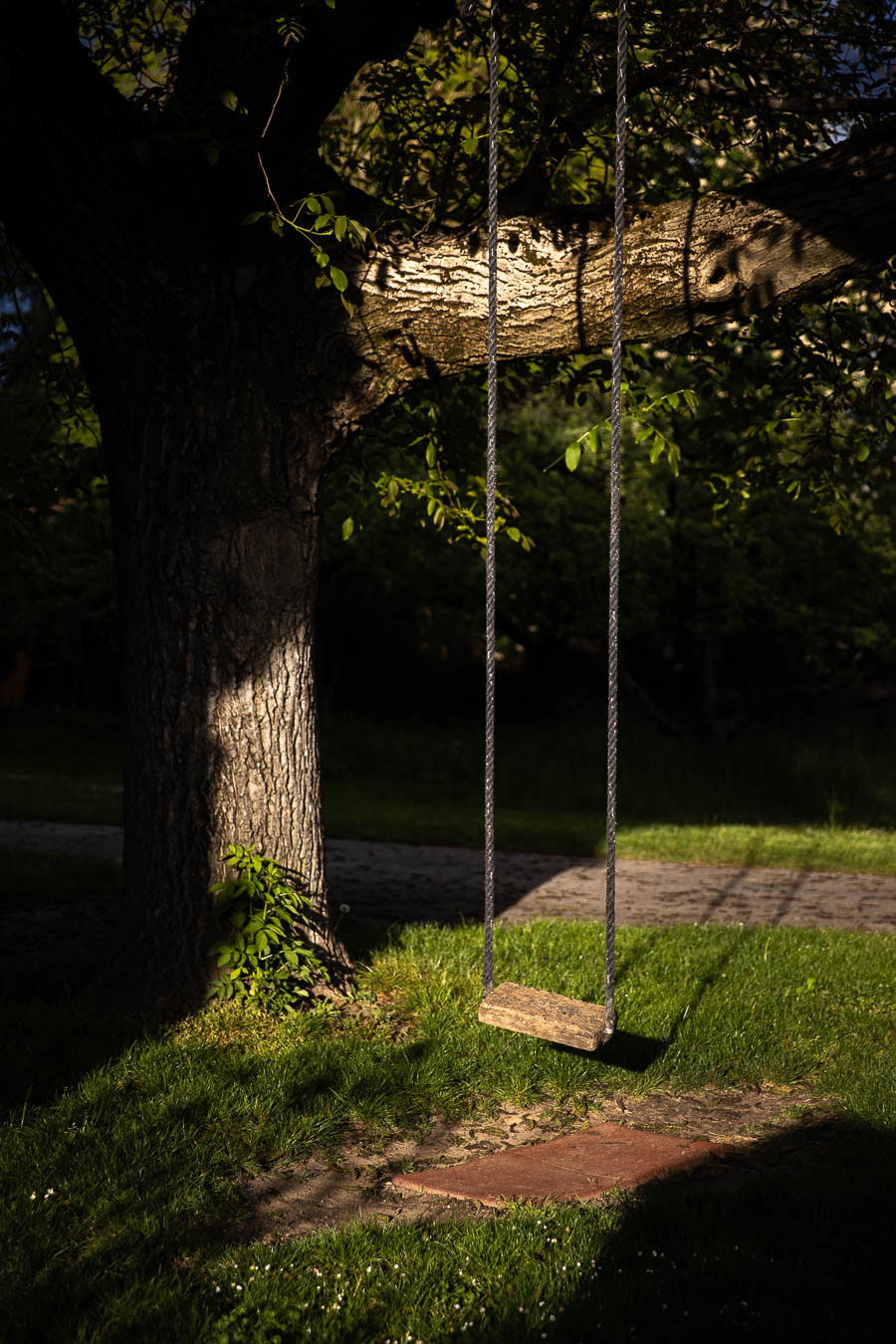 beautifully lit swing hanging from a tree at Paradieshof in Binningen