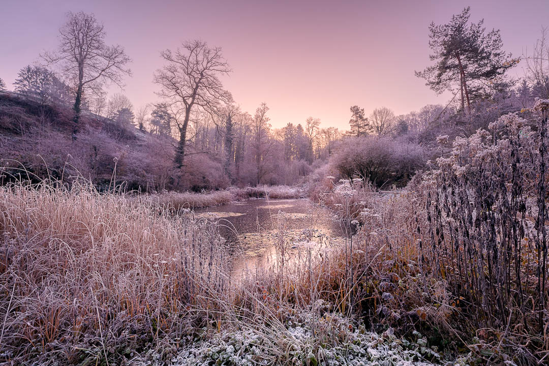 An image of the pond at Herzogenmatt edited