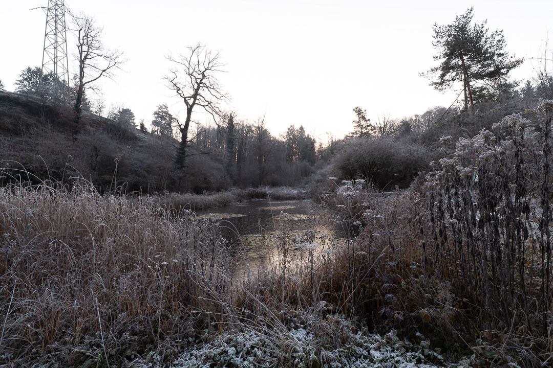 An image of the pond at Herzogenmatt unedited