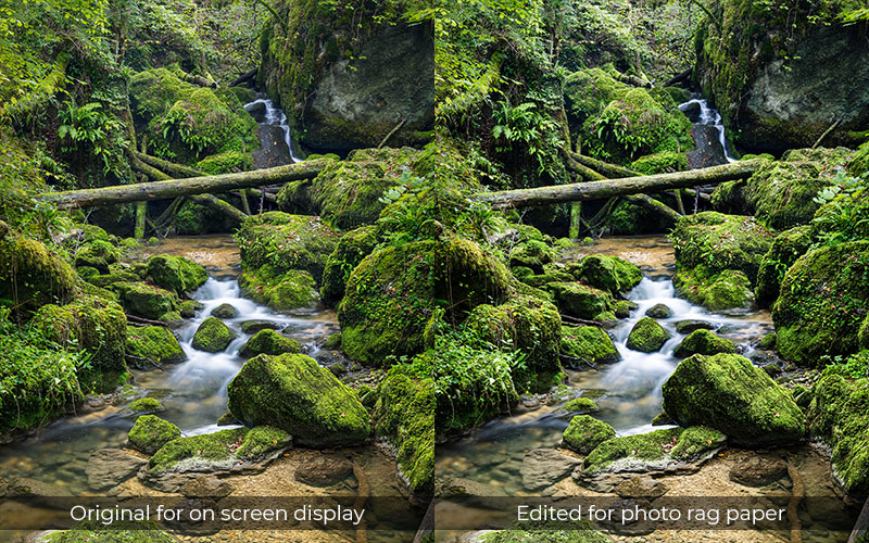 side by side of original image for on screen display next to edited image for print