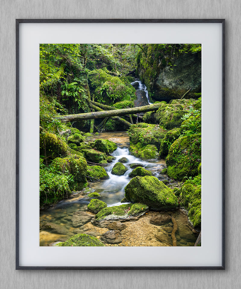 printed and framed image called green forest glade