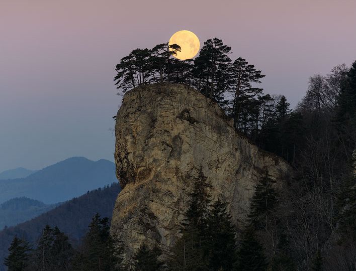 A photograph of the April 2021 Supermoon cradled by the trees on the Ankeballe in Baselland, Switzerland