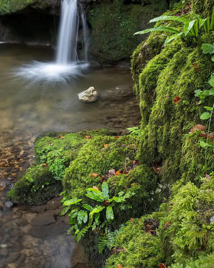 Long exposure water photograph showing several small waterfalls in a green mossy scene